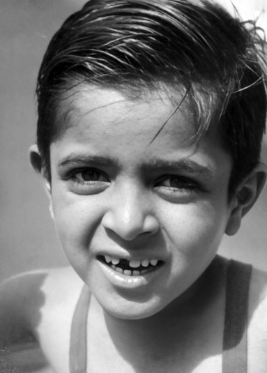 Photograph