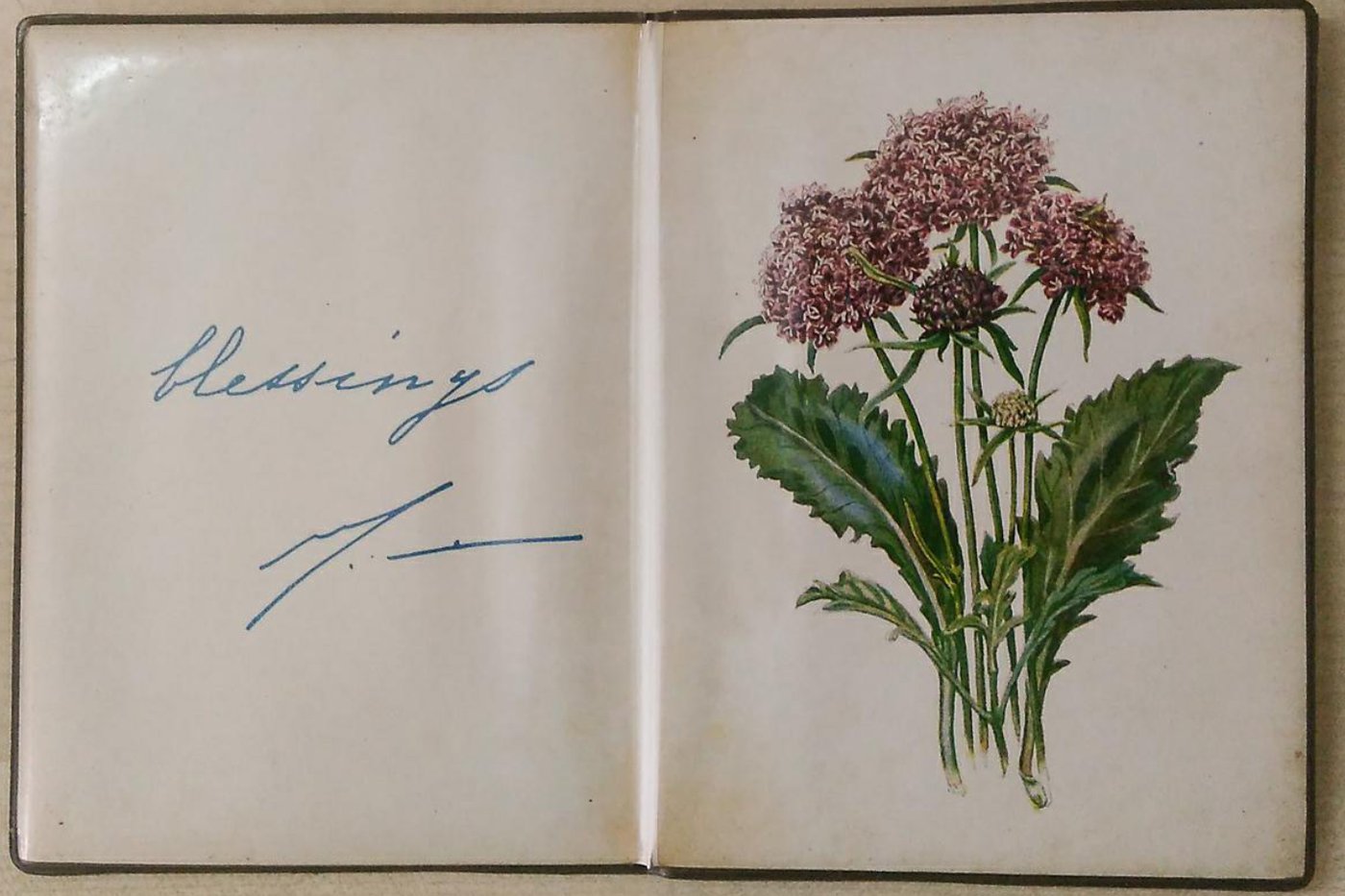 Blessing Card given by the Mother to Promesse