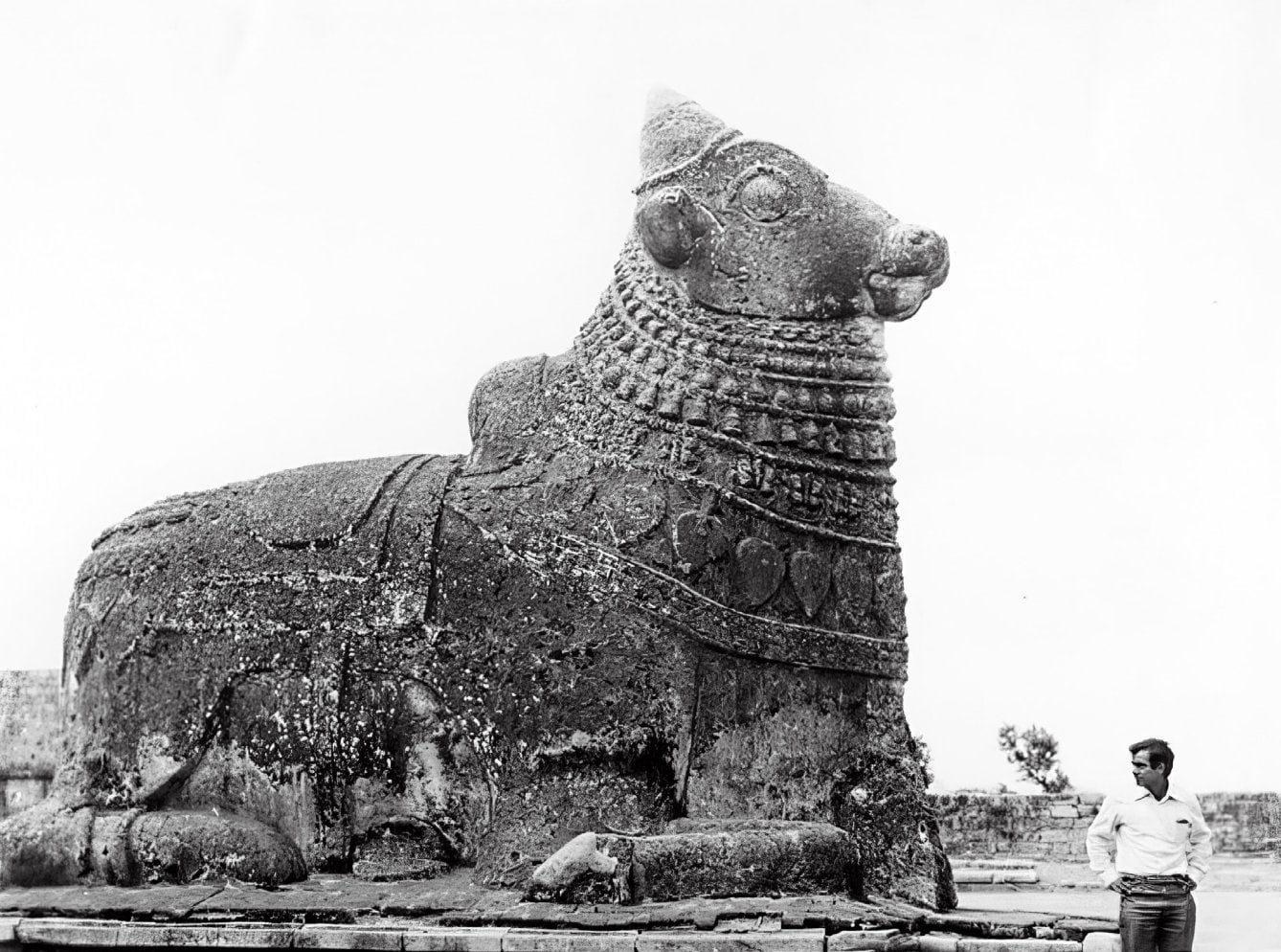 Promesse at Gangaikonda Cholapuram